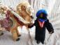 Preview: Beduine mit Kamel