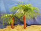 Preview: Palmen Krippenlandschaft