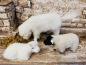 Preview: Fressendes Schaf hell aus Echtfell zu 30 cm-Figuren