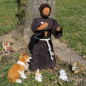 Preview: Heiliger Franziskus Statue