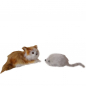 Preview: Katze 7cm - mehrere Modelle