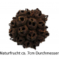 Preview: Naturfrucht als Busch