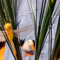 Preview: Storch - handgefilzt