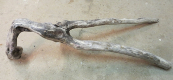 Lange Wurzel 80 cm mit Gabelung
