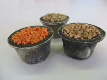 3 Vorratsbehälter mit Samen