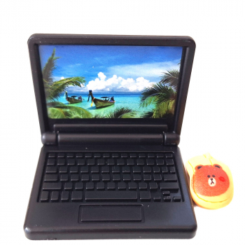 Computer mit Maus