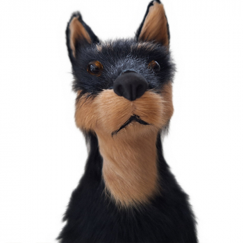 Schwarz-brauner Hütehund - zu 50cm großen Figuren - 20cm hoch