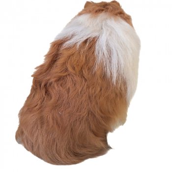 Preview: Großer Hütehund für 50cm große Figuren - 26cm hoch