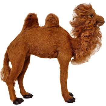 Kamel 27cm hoch - 35cm lang
