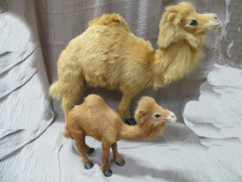 Preview: Kamel 20 cm hoch - zu 10-15 cm Figuren oder als Jungtier