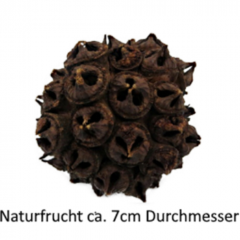 Naturfrucht als Busch