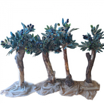 Olivenbaum