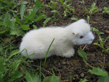 Schaf aus Echtfell mini, Miniaturschaf, Krippenschaf, Schaf für die Krippe