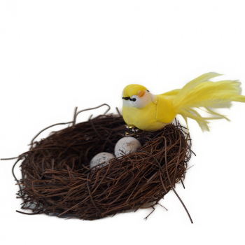 Preview: Vogel im großen Nest mit Eiern