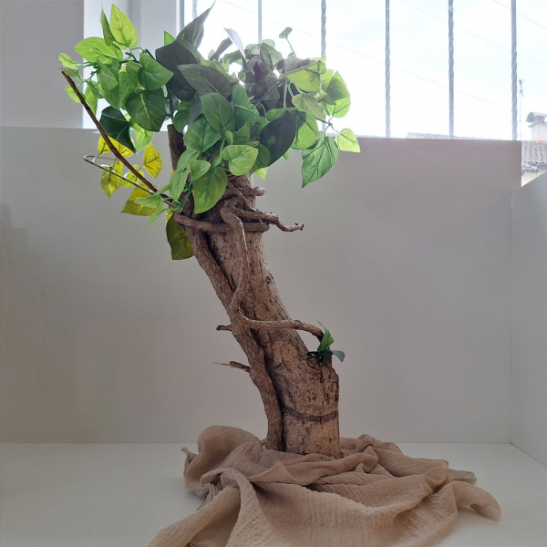 Der exklusivste Baum, den ich je gemacht habe