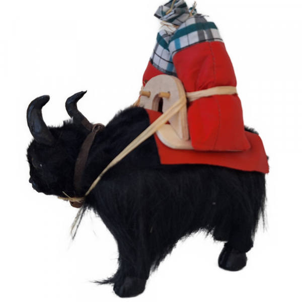Hochlandrind - YAK - Einzelstück