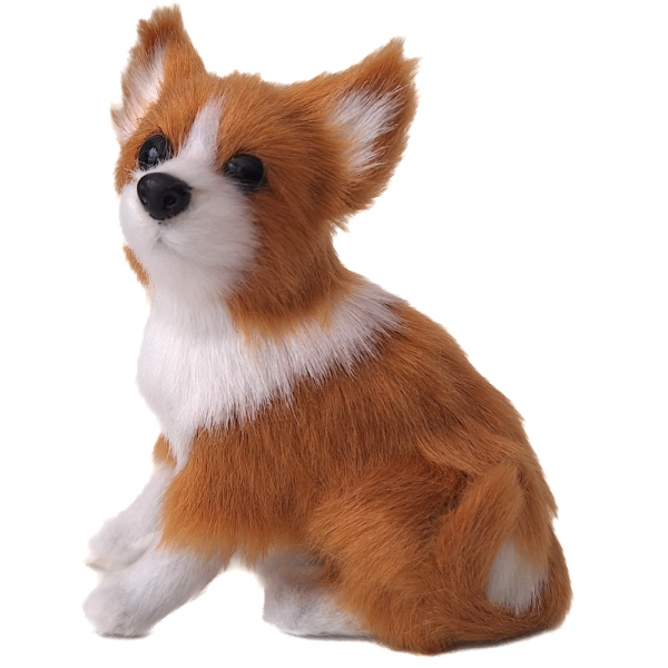 Süßer junger Hund