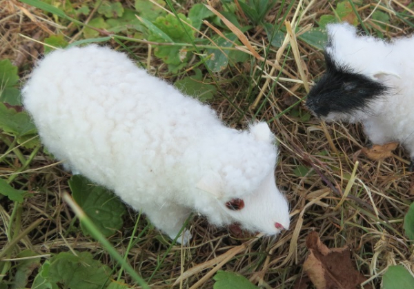 Lamm stehend hell aus Echtfell