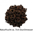 Naturfrucht als Busch