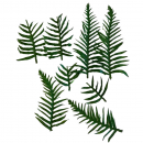 8 Palmwedel - Palmblätter