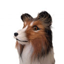 Schäferhund - zu 50cm großen Figuren - Höhe 21cm