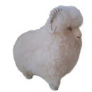 Widder - Bock - echtes Schaffell
