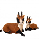 Liegende Ziege mit ihrem Zicklein